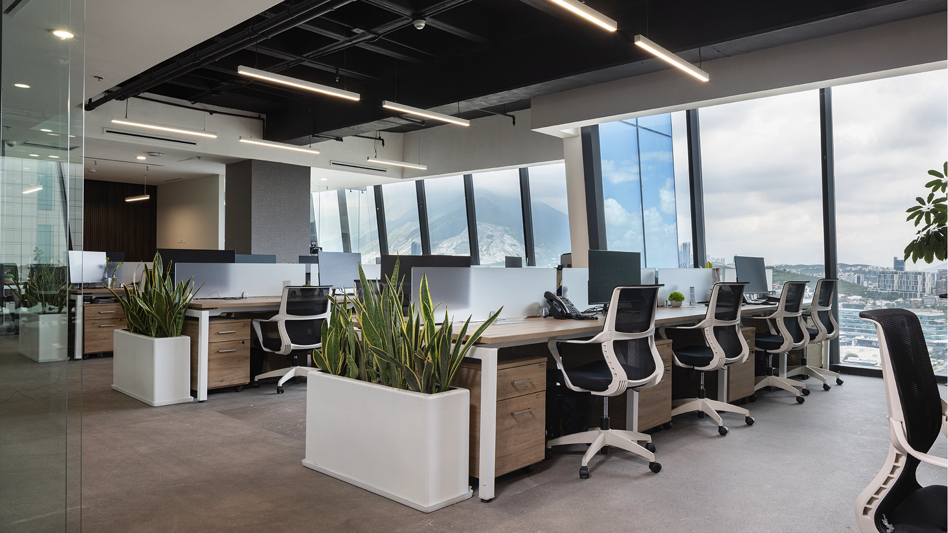 Detalle del proyecto Fortex