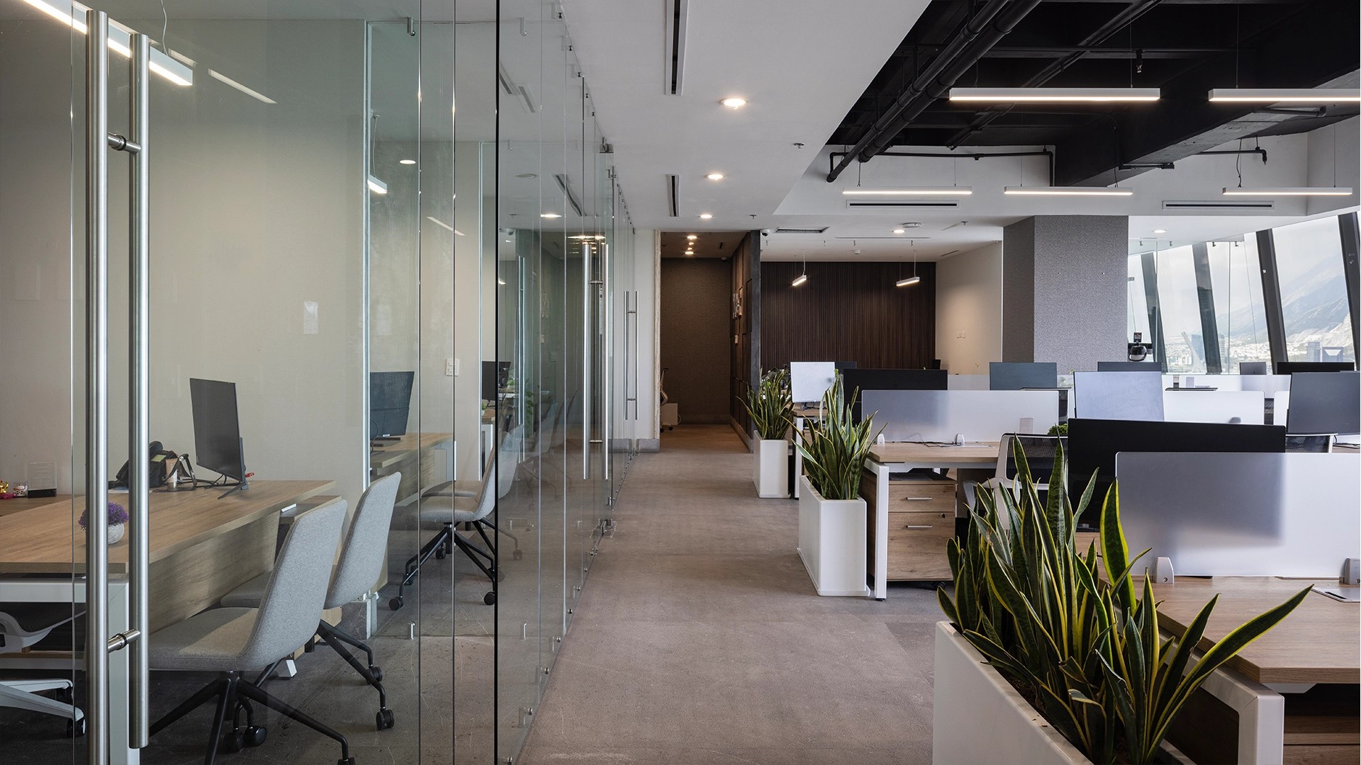 Detalle del proyecto Fortex